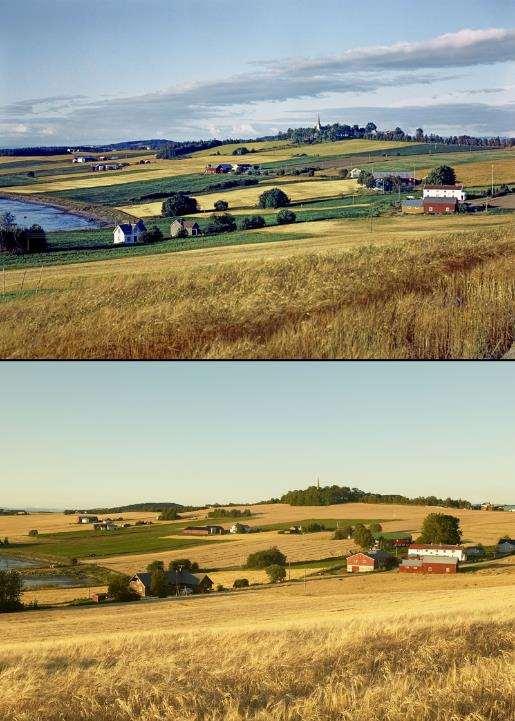 Norsk jordbruk opprettholder stabile landskap 1968. Alstadhaug.
