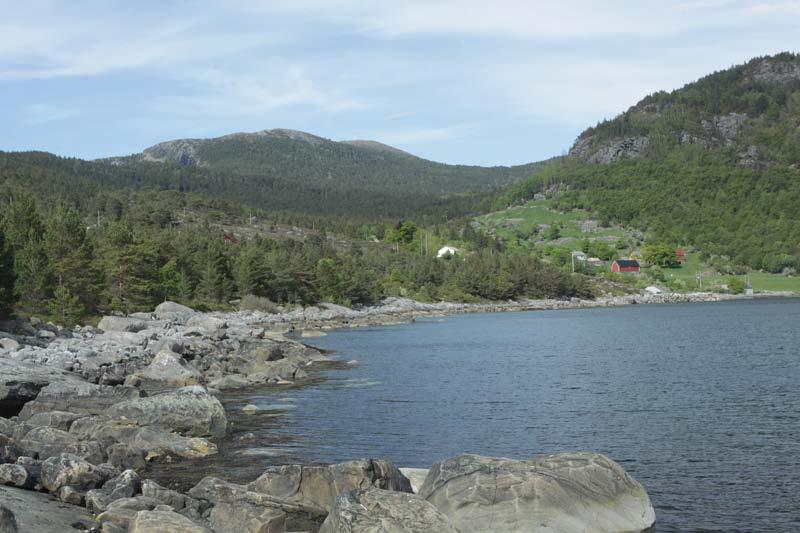 Bilde 20. Merkingsneset (østsida).