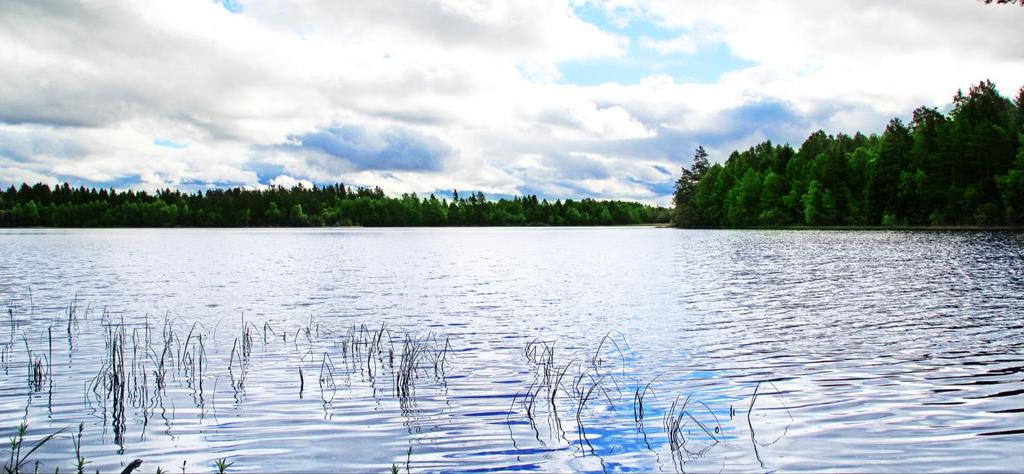 Midtsjøvann. Foto: PURA Oppegårdstjernet, Frogn.