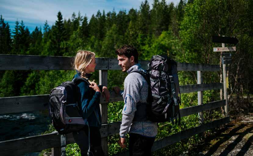 BACKPACK HIMALAYA 8962 Mellomstor backpack for deg som krever litt ekstra.