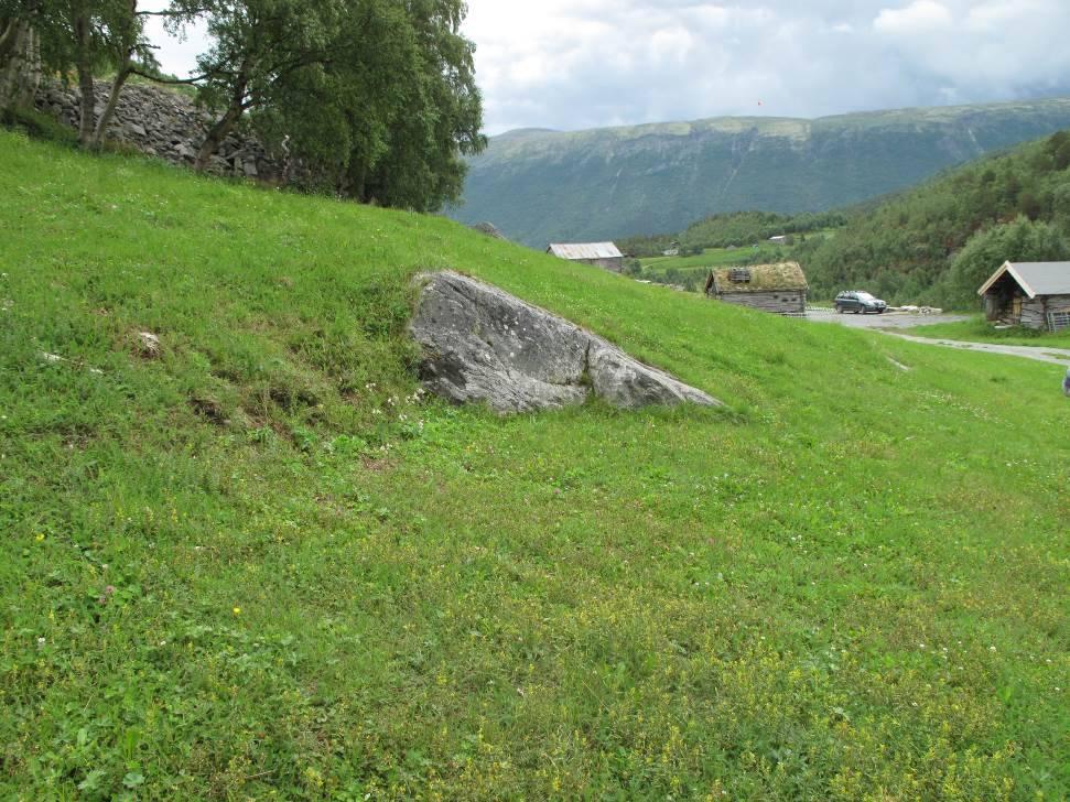 Videre anbefalinger Kun beiting på seinsommeren i «Øvre deler» ser ut til å være en ugunstig skjøtselsform, da det meste av vegetasjonen blir tråkka ned.