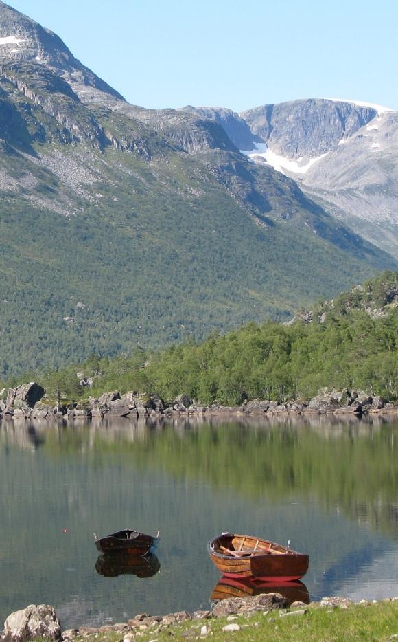 Anbefalinger: Alle forvaltningsplanene bør inneholde en oppsummering av bruken av utsatte frister.