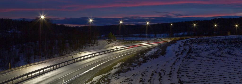 PARK / VEI / PLASS Kjære kunde, Markedet for vei/park og plassbelysning er voksende som følge av at kvikksølvlampen er utfaset og ikke lenger kan skaffes.