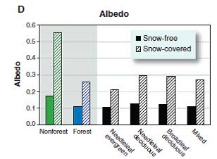 Albedo: refleksjon av sollyset «Slow rates of carbon accumulation in boreal forests may in the short-term be offset by more rapid