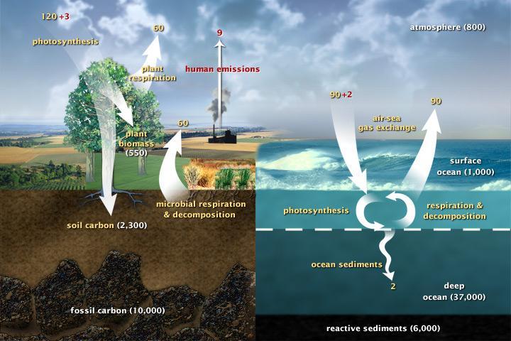 Karbonkretsløp (CO 2 ) US Government work: http://en.wikipedia.org/wiki/file:carbon_cycle.