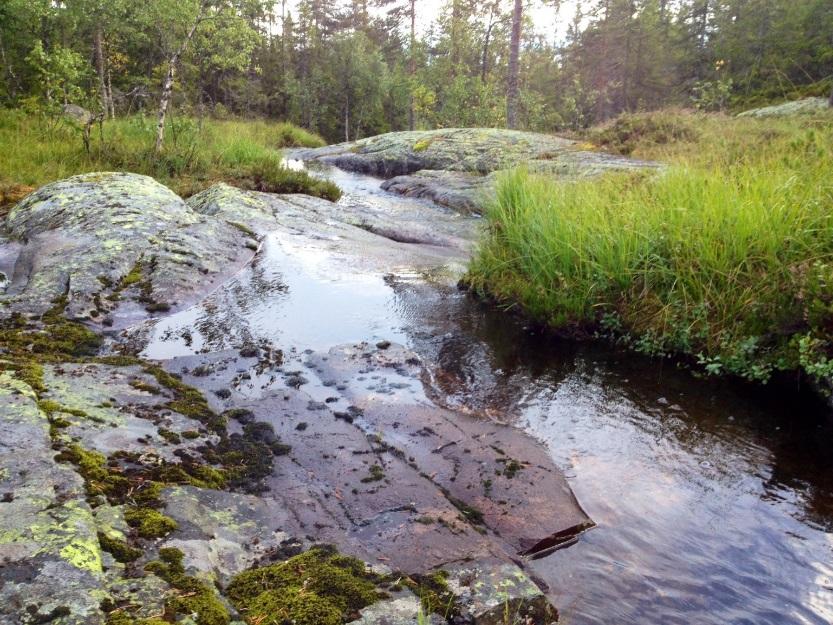 Nasjonale mål 1.