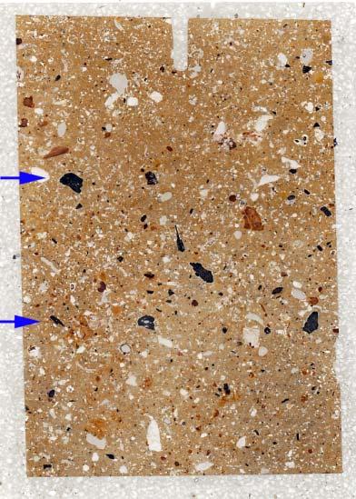 Fig. 18: Bamble, Mound 2, mixed layers: photomicrograph of M9287B;
