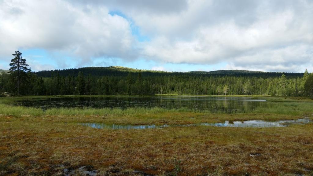 Bilder fra området Osdalen sør Oversikt over det meste av