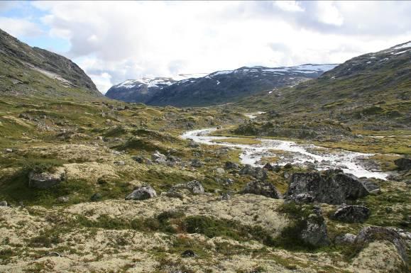 Tundradalskyrkja er en markert fjellformasjon nordvest for Illvatnet (fig. 6.1.2). Det regulerte Illvatnet er et middels stort vann i høyfjellet, omkranset av høye fjellformasjoner.