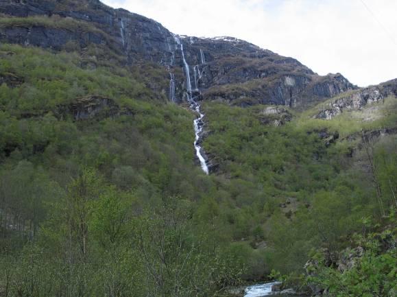 Dalføret er skogledd helt opp til Fossabakkane, hvor lavvokst høyfjellsvegetasjon overtar, dvs. ved ca. 900 moh.