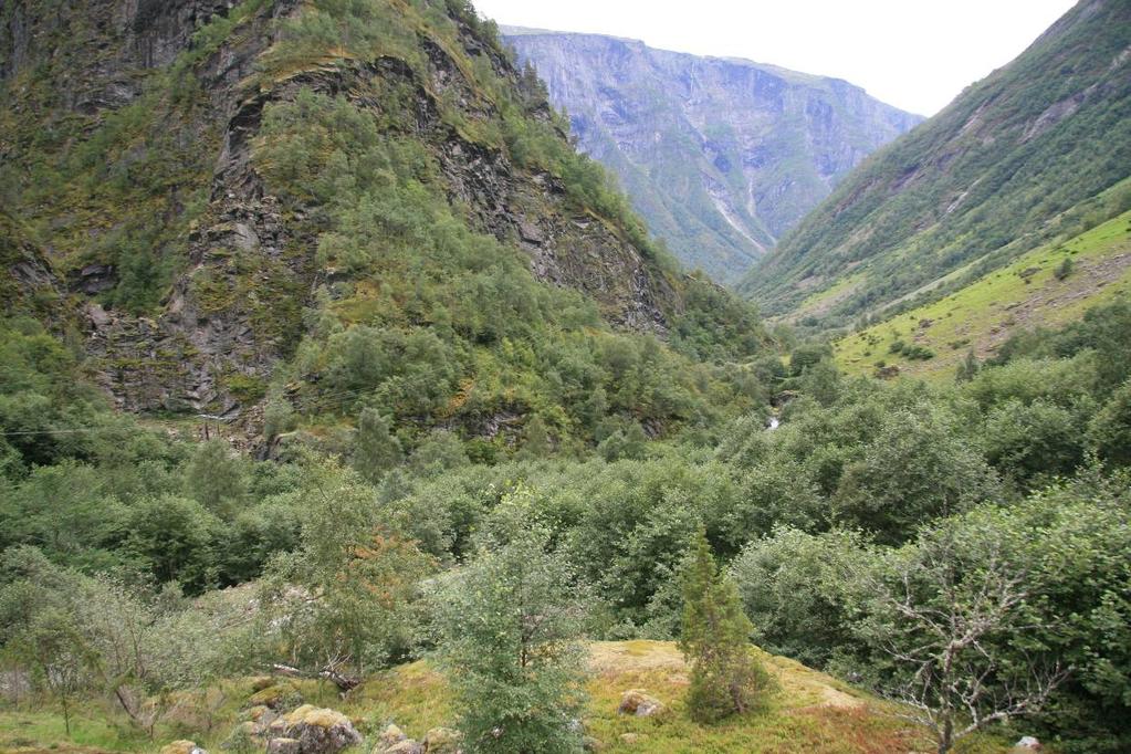 Anleggsveien fra Øyane til Fivlemyrane ble bygget i forbindelse med utbyggingen av vassdraget, og følger elva på vestsiden.