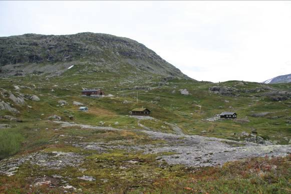 åpne og snaue sidedalførene Nørdstedalen representerer kanskje den mest markante og største endringen i området. Området rundt Nørdstedalseter er således et viktig møte- og krysningspunkt. Figur 6.1.