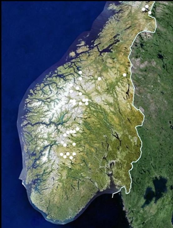 LFI s undersøkelser av næringsdyr 1.Virkning av reguleringshøyder der manøvreringen er preget av regularitet (Aass 1969). 2.