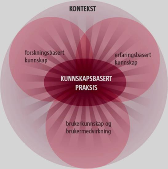 Kunnskapsbasert praksis Kunnskapsbasert praksis innebærer at fagutøvere bruker ulike kunnskapskilder i praksis.