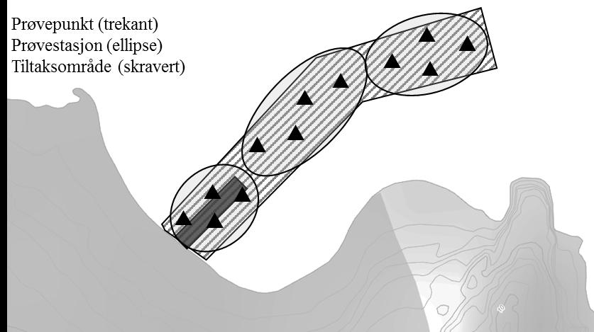 Side 5 av 6 Figur 1. Eksempel på inndeling av tiltaksområde i prøvestasjoner og prøvepunkter. Oppgi i hvilke dybder av sedimentene prøvene er analysert.