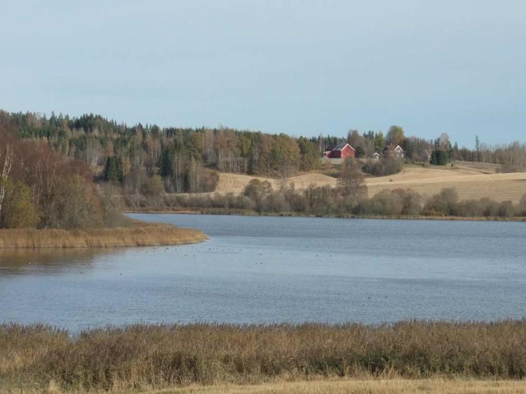 Hvorfor tynningsfiske i Østensjøvann? Thrond O.