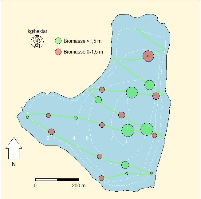 Ekkodata: biomasse Tetthet av fisk: 198,7 ± 73,2 kg/ha Totalbiomasse (pelagisk)