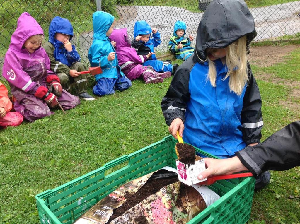 Presentasjon av barnehagen Velkommen til Læringsverkstedet Ullerøy barnehage! Vi er en liten barnehage med 31 barn fra 1-6 år. Vi har to baser, Trollungen 1-3 år, og Skattekista 3-6 år.