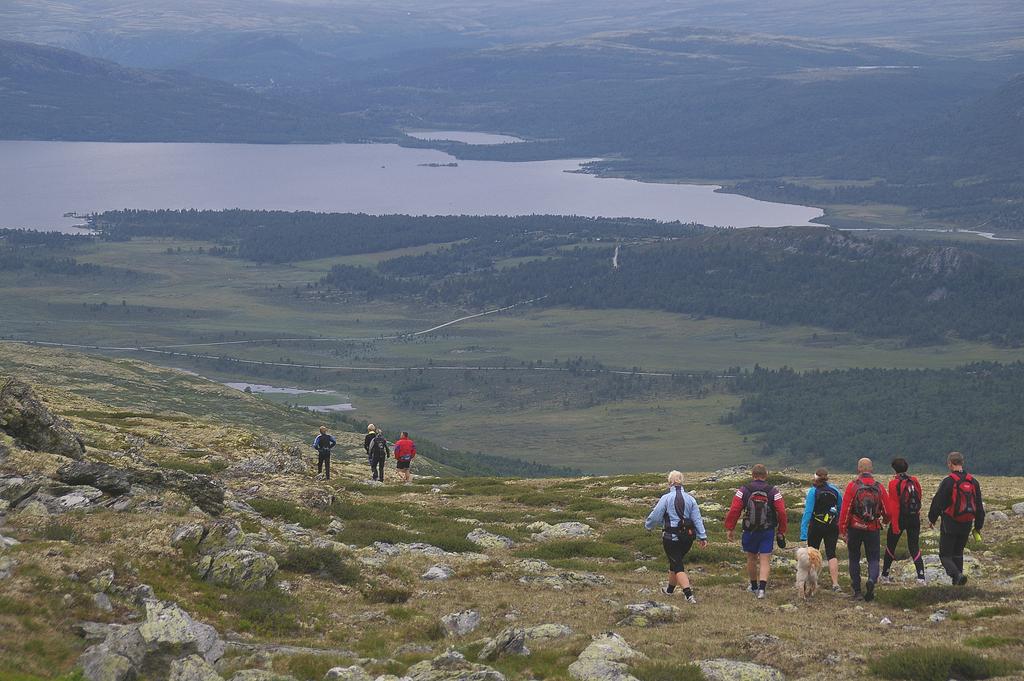 Foto: Jo Røssummoen Kvam I arrangerte mandagsturer sommeren 00. Her på veg ned fra ukkertoppen.