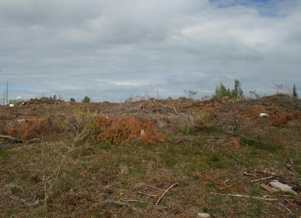 G b n r 1 4 4 / 1 N y d y r k n in g Foto 8: Oversiktsbilde av fangstlokalitet ID216688 på høydedrag, med gården 144 Fundi i bakgrunnen, tatt mot vest. Idnr 216688-1 Fangstgrop Mål: D 12,4m, H 2,10m.