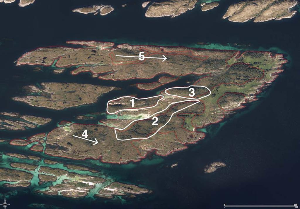 Figur 4 Plan for rydding av skog på Karlsøya. Tall indikerer prioritert rekkefølge på områder.