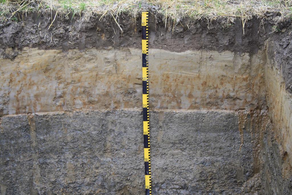 Dreneringsforhold Jordas naturlige dreneringsegenskaper påvirkes av: Sammensetning av sand, silt og leir, samt