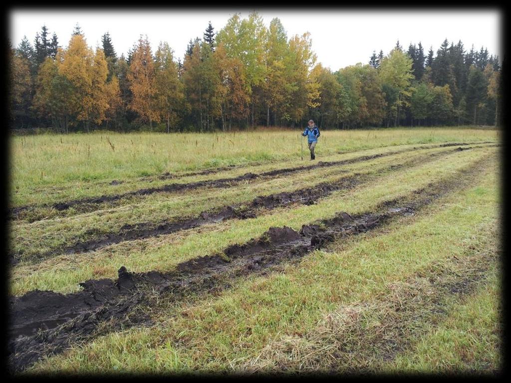 Årsak til dårlig drenering Nytt temakart på «Kilden» Jord med dårlig vannledningsevne Jord med tette sjikt under et mer permeabelt topplag Jord med