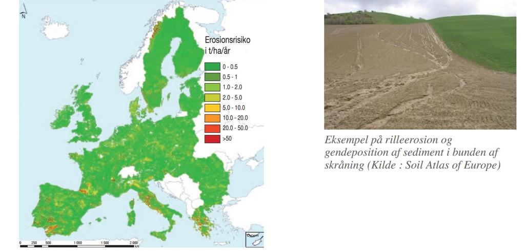 Erosjonsrisiko EU 1/8 av Europas samlede landområde er utsatt for vannerosjon, og rundt 5 prosent er utsatt for vinderosjon.