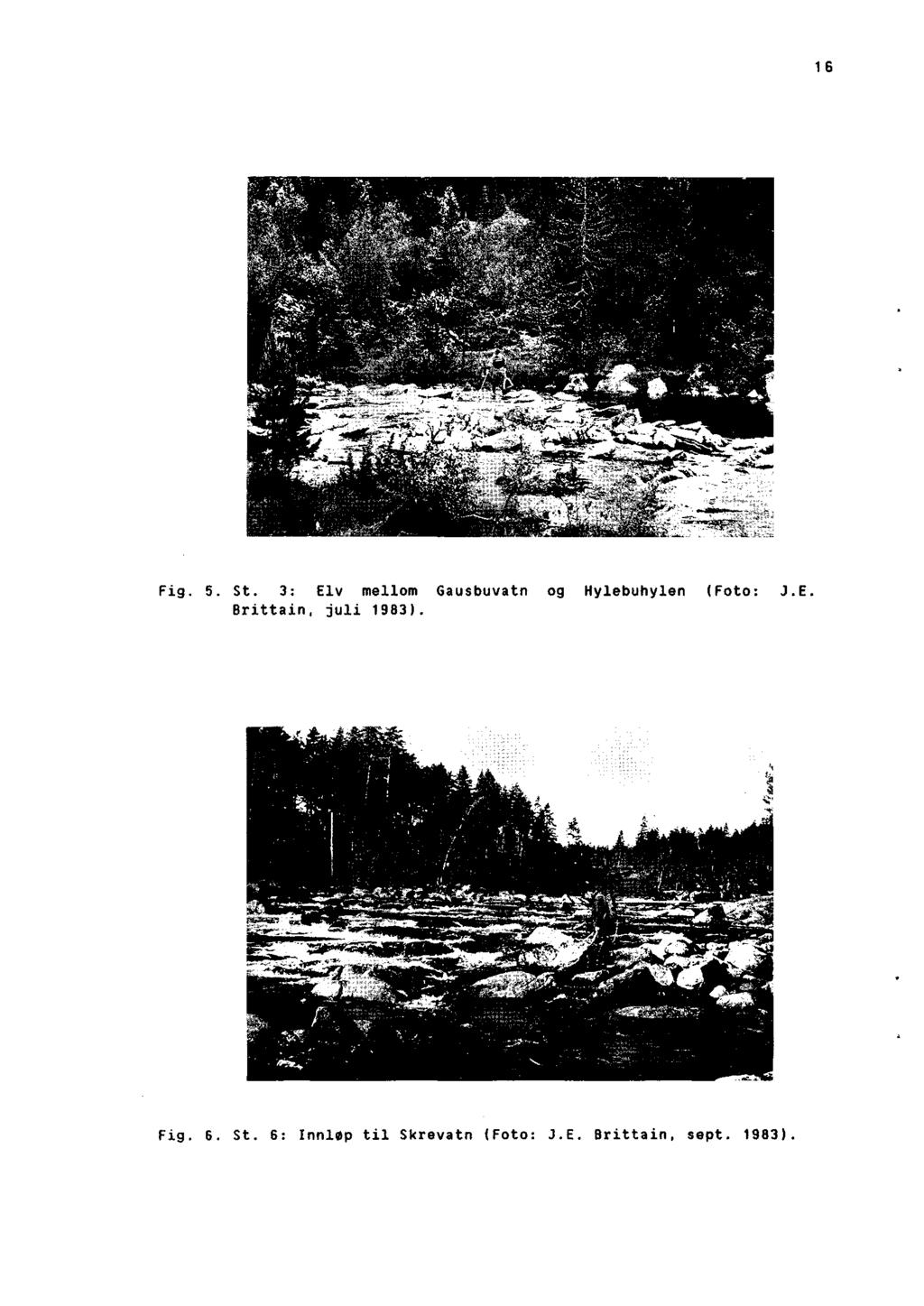 16 Fig. 5. St. 3: Elv mellom Gausbuvatn og Hylebuhylen ( Foto: J.E. Brittain, juli 1983).