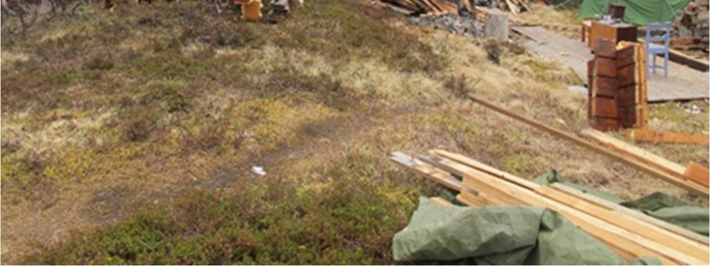 Forvalter fikk følgende bilder tilsendt Verneområdeforvalter tok etter henvendelse fra SNO kontakt med Karlsøy kommune for å høre om de hadde fått noen søknad om tiltak på eiendommen.