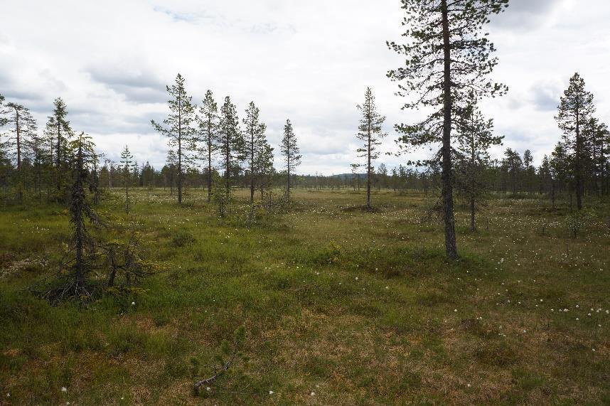 2.2 Den besøkende I samtlige naturreservat er de besøkende i hovedsak lokale personer som benytter områdene i fritidsøyemed.