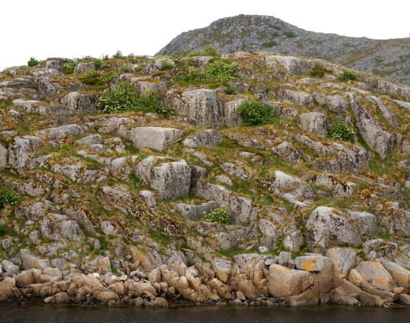 I Nordland forekommer typen mest som åpne eller krattbevokste knaussamfunn på værharde og grunnlendte lokaliteter ved kysten, ofte der det er lause, næringsrike bergarter.
