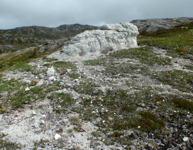 2d Reinrosehei Økologi: Reinrosehei danner rabbesamfunn på kalkrik grunn i lågfjellet og opp mot mellomfjellet.