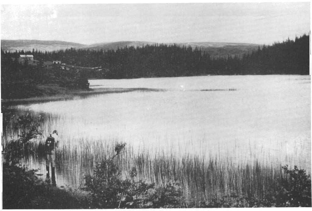 Foto 2. RØrtjØnna sett mot nord.