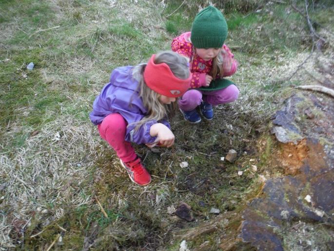 4. natur, miljø og teknikk: Gjennom arbeid med natur, miljø og teknikk skal barnehagen bidra til at barna opplever naturen og undring over naturens mangfoldighet (Rammeplanen).