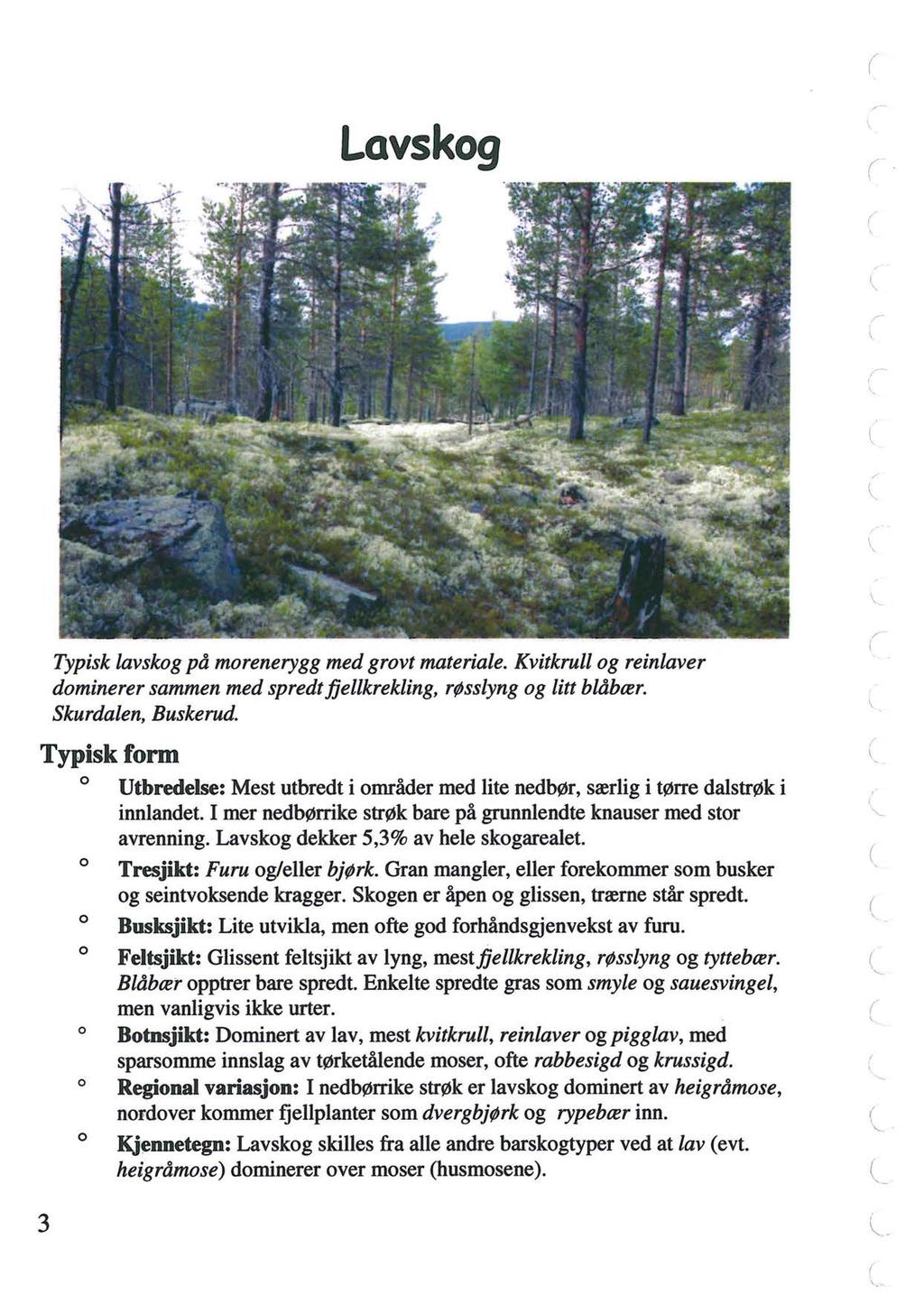 Lavskog,,. ' Typisk [avskog på morenerygg med grovt materiale. Kvitkrull og reinlaver dominerer sammen med spredt jjellkrekling, røsslyng og litt blåbær. Skurdalen, Buskerud.