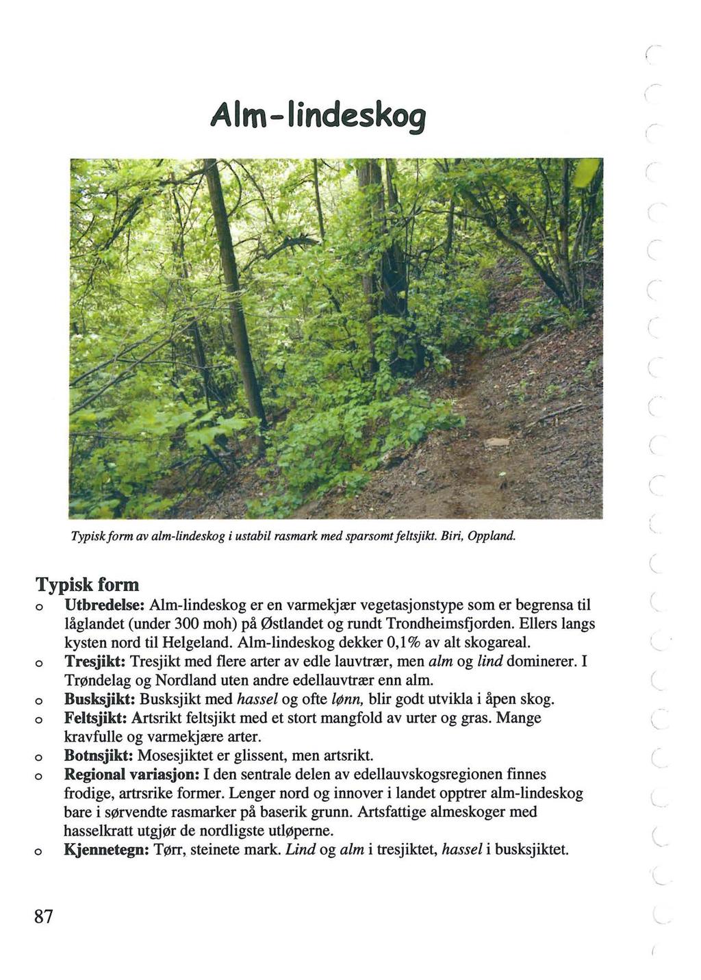 Alm-lindeskog / ',-- /,--. Typiskform av alm-lindeskog i ustabil rasmark med sparsomt feltsjikt. Biri, Oppland.