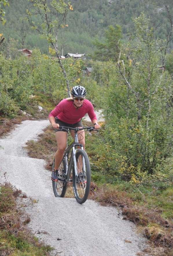 utferd til Skinnarbu Nasjonalparksenter.) REIS200 Reiseliv som fenomen og næring. (2 dagers Innovasjoncamp) Høstseminaret (Bærekraftig turisme. 20.10 2017) 1. Vår.