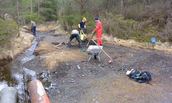 Per Fadnes 4 Figur 4. Sunnhordland botaniske forening i arbeid med å reetablere den ødelagte forekomsten av bustsivaks våren 2014 