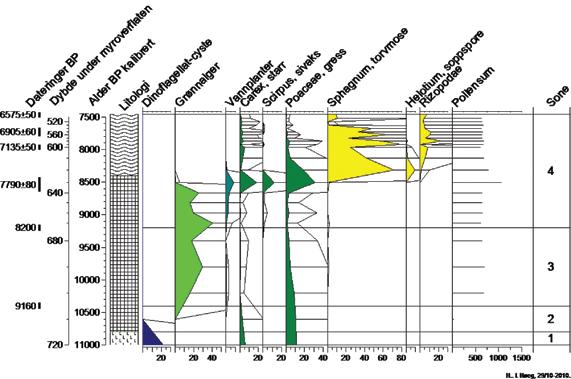 Holocen vegetasjonshistorie og utviklingen av en myr i søndre Akershus 5 Figur 5. Forenklet pollendiagram som viser utviklingen fra havbukt til gjengrodd tjern de første 3000 år av historien.