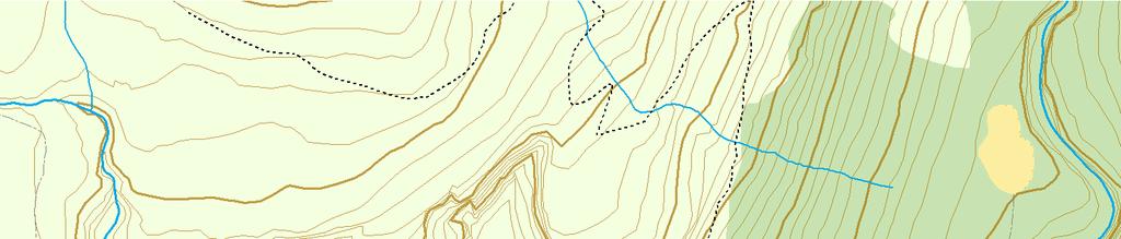 000 Naturtypelokalitet/kjerneområde Rutenett 1km