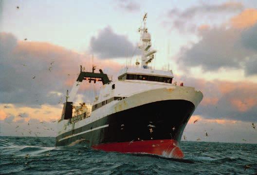 Lønnsomhetsundersøkelse for fiskeflåten ÅR 2009