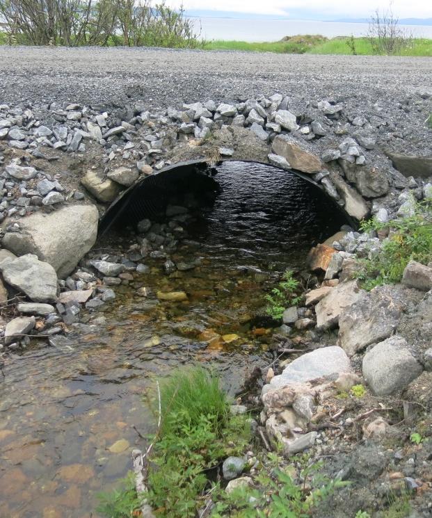 Natutypisk rampe i Djupa, Hardangervidda SVV med fullt passerbare