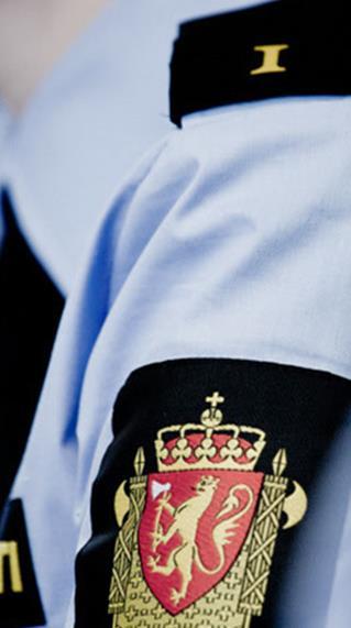 Politiets arbeid Forebygging - gjennomgående for alt politiarbeid Målrettet, kunnskapsbasert og systematisk forebyggende arbeid Egne fagmiljøer