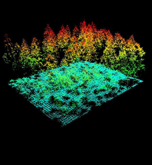 Flybåren laserscanning Kvantifisering av virkeskvaliteter og råstoffmengder i skog Identifisering av enkelttrær Utvikle og forbedre
