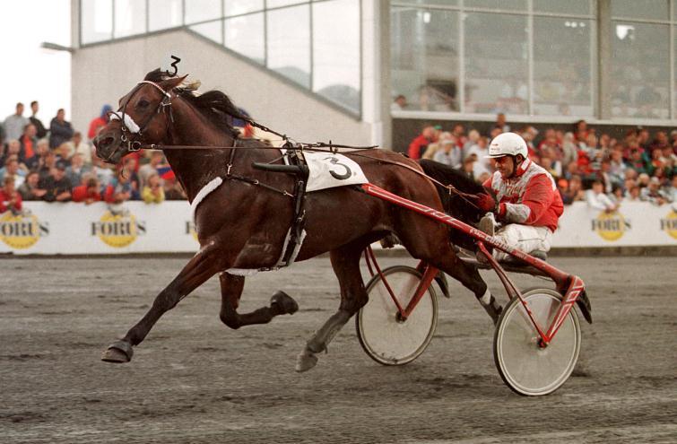 Avstamning: Faren, Speedy Tomali (US), hadde sin avlsdebut i Norge i 1987. I sin første årgang, født 1988, kom 39 av 59 hester til start og 9 har tjent over kr.100.000.