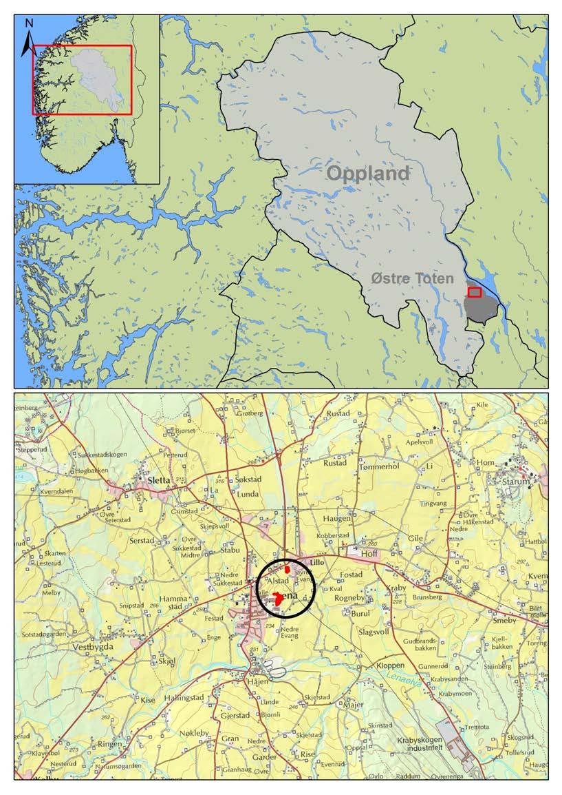 4 LANDSKAPET, FUNN OG FORNMINNER Planområdet ligger i et svakt kupert til tilnærmet flatt jordbrukslandskap øst for sentrumsbebyggelsen på Lena. På Fig. 1.