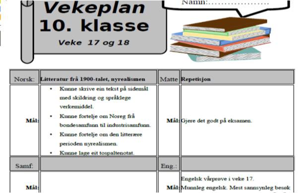 Vekeplan Kor mykje og korleis, forstår elevar det dei skal