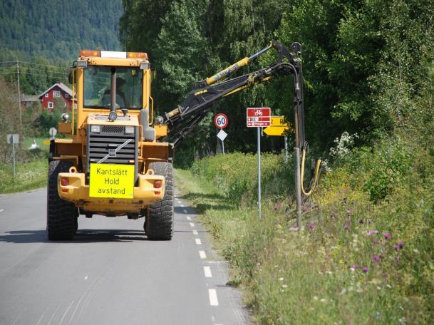 To arter skiller seg spesielt ut: Krepsepest (Aphanomyces astaci) og Gyrodactylus salaris. Landbruksmyndighetene i kommunen har oversikt over forekomster.