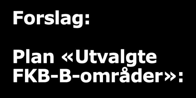 Forslag: Plan «Utvalgte FKB-B-områder»: KV Hamar lager utkast til